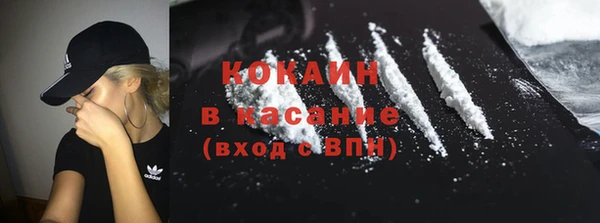 гашик Алзамай