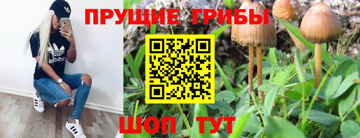 Псилоцибиновые грибы ЛСД Уссурийск