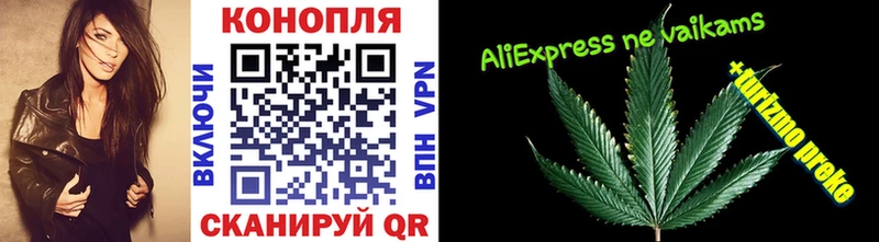 купить  цена  Уссурийск  OMG зеркало  Конопля тримм 