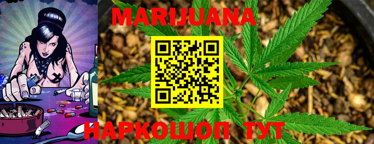 Конопля сатива  Бошки марихуана планчик  Каннабис индика  Вход с VPN  Каннабис планчик  Уссурийск 